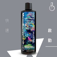 BWA MicroBacterStart XLM 專業硝化菌啟動版XLM，快速建立水族箱生態，提升魚類免疫力, W754 專業硝化菌啟動版 2L, 1個