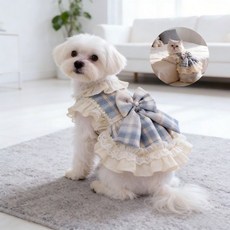 펫 프린세스 스타일 드레스, 1개, Blue