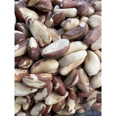 솔봄이네 브라질 넛트 500그램 1키로, 500g, 1개