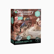 디스커버리-공룡 화석 캐기-3D 벨로시랩터, 1개