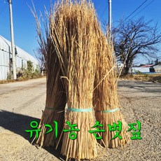 무농약 유기농 손질한 볏짚 1.5kg 삼겹살 바베큐 지푸라기 반려동물 고양이 강아지 가축 바닥자재 월동자재 청국장, 1개