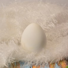 除臭蛋 冰箱除臭蛋 除異味保鮮蛋 吸水防潮 冰箱必備乾燥蛋 除味蛋 防潮 冰箱鞋櫃除臭, 1個, 除臭蛋白色 硅藻土