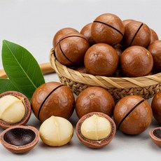 통마카 다미아 450g 까먹는 껍질 베트남 효능 고품질 너트 건강 간식 견과 영양 맥주, 1g, 1개