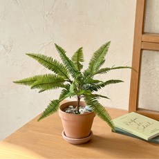 파인 고사리 조화 화분 2colors 토분 세트, 1개, 베이지 토분