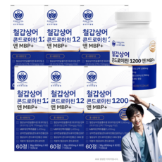 저분자 철갑상어 콘드로이친 1200 6형 식약청 인증 철갑상어연골 c6s mpb 퓨어바이탈랩, 6개, 60정
