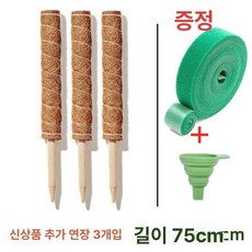 코코넛 야자봉 원예 용품 수태봉 식물지지대, 트리플 75cm 깔때기 스트랩 포함, 1개