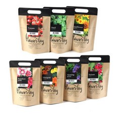 아트박스/꿈쟁이 꿈쟁이 플라워백 크라프트 식물 키우기(4종택1), 봉선화