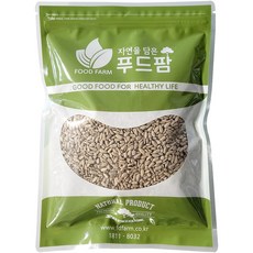푸드팜 해바라기씨, 500g, 1개