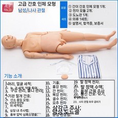 실습용 마네킹 인체 교육 전신 더미 모형 교구 모델, 1. 너트핏 남성