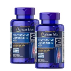 퓨리탄스프라이드 글루코사민 콘드로이틴 엠에스엠 하루2정 캐플렛 Puritans Pride Glucosamine Chondroitin MSM Triple Strength Caplet, 2개, 60정