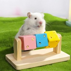 햄스터 노즈워크 퍼즐 주사위 간식 장난감 기니피그 새 장난감