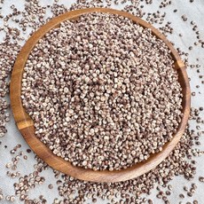 영원농산 25년산 중국산 특찰수수 찰수수쌀 품질 수수쌀, 5kg, 1개, 5kg