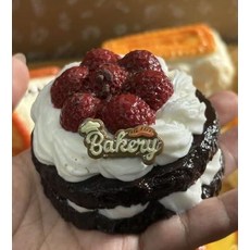 말랑이 부드러운 물 감각 스트레스 해소 장난감, berrytart