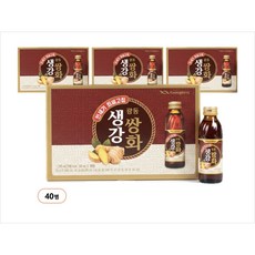 광동 생강쌍화 생강쌍화농축액, 120ml, 40개