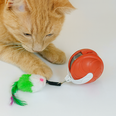 MAAH 고양이 새소리나는 발광 자동 장난감 SCB-08 [KC인증], 1개, 체리레드