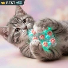 고양이 발바닥 발 led 9구 키캡키링 클리커 딸깍이 + 케이스포함 가방키링 자동차열쇠 고리, 1개, 클리어 투명