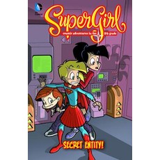 Secret Entity!: #4 Library Binding, Stone Arch Books