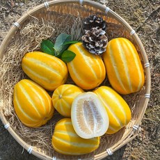 가정용참외(로얄과)1kg(3-5과)_공급 (Araium)