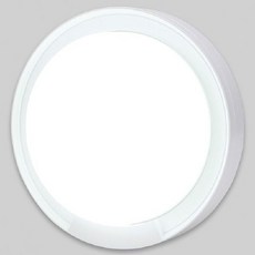 IP65 방습방수 외부 흰색 주광색 조명 자연광색 천장등겸용 15W 22350EA 1(ea)