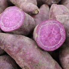 해남 자색 고구마 건강과 맛을 동시에 자색고구마(신자미) 3KG 5KG, 1박스, 자색고구마 3kg(대)