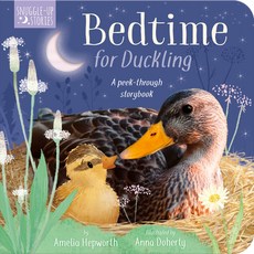 Bedtime for Duckling Board Books, Tiger Tales, English, 9781664350137