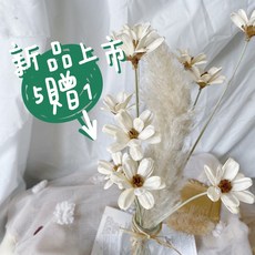 大地農園 瓜子花乾燥花材 居家裝飾花藝設計, 雪白