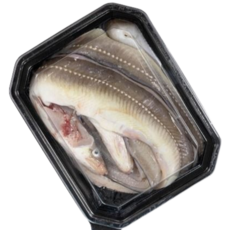 통영 자연산 바다장어 특대 손질 장어 + 소스 2종, 1개, 3kg (6~9미 내외)