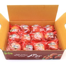 (세척)당도선별 빨간사과 3kg 소과 16~21과 ths+954Kb