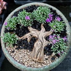 행복꿈나무 다육아트 나무장식 세라믹장식 분경아트 체험학습 행복한꽃그릇, 2번, 1개