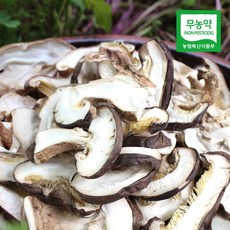 [생산자직송] 충북 박대선님의 무농약 건조 송화고버섯 80g, 1개
