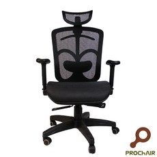 Richard 人體工學椅 腰枕, 詳見包裝