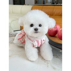 寵物碎花蕾絲裙 泰迪比熊貓咪薄款開衫衣服, 1個, 紅色,XL（胸42-背30-約4.5-5.0公