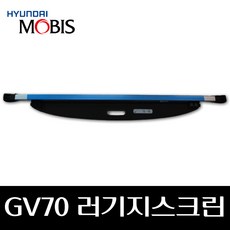 GV70 러기지스크린 85940AR000NNB, 혼합색상