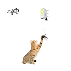 萊恩家 美國 AFP 互動系列 電動逗貓溜溜蟲 貓咪玩具 逗貓玩具 寵物玩具, 1個, White