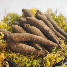 [더조은] 제주산 향긋한 흙더덕 (실속), 1박스, 1kg