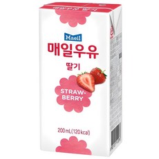 매일우유 멸균 딸기, 200ml, 10개