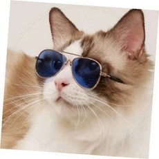 반려동물 선글라스 고양이 강아지 패션 액세서리 UV차단 애견용품 펫 안경테 촬영소품, 1개, 1-애완선글라스-투명