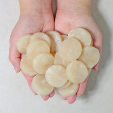 생선생 가리비 관자살, 가리비 관자 500g 1팩, 1개