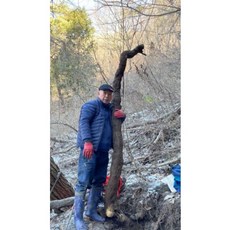갱년기 숙성칡즙 착즙 효능 자연산100% 50포 [원산지:국산(전라남도 함평군)], 자연산 100% 칡즙150포, 1개, 120ml