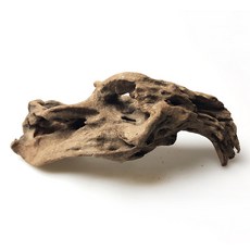 造景沉木 水族用品 魚缸造景材, 1個