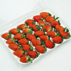 첫출하 당도선별 논산 설향 딸기, 1세트, 특과 700g