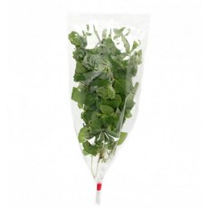 국내재배 한 동남아시아야채 향신료 홀라파 가파오 맹락 어성초 민트 박실라우 딜 등등, 민트(홍로이)(셀레나) 1봉지×1개