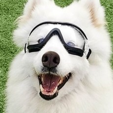 애견 산책룩 대 반려동물옷 고글 반려견 78203ea 1(PC), 중대형고글