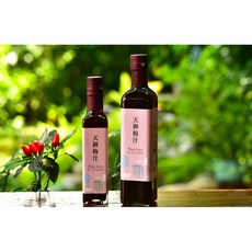 天御梅汁 酸甜解渴 釀製飲品 無化學添加 250ml, 1個