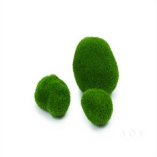 에이오티e샵 가짜 이끼 돌 세트 10입 인조비단이끼