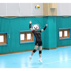 바너 배구 선수 무릎 보호대 엘리트 아대 배구용 남성 여성 청소년 쿠션 배드민턴 댄스 슬개골