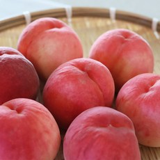 [농가직송] 청담농수산 고당도 딱딱이 백도복숭아, 1개, 로얄 중소과 1kg