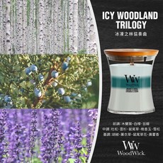 WoodWick香氛蠟燭 中型沙漏275g，多款香味選擇，營造浪漫居家氛圍，美國製造品質保證, 冰凍之林協奏曲