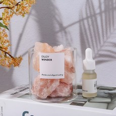 SCX 스톤 디퓨저 인테리어 소품 집들이 선물 집 방향제, 1개, 봄날의 시간 03