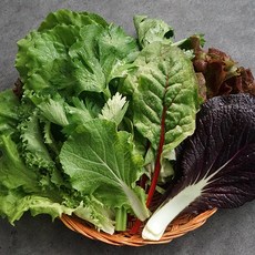 산지직송 유기농 쌈채소, 1박스, 1kg
